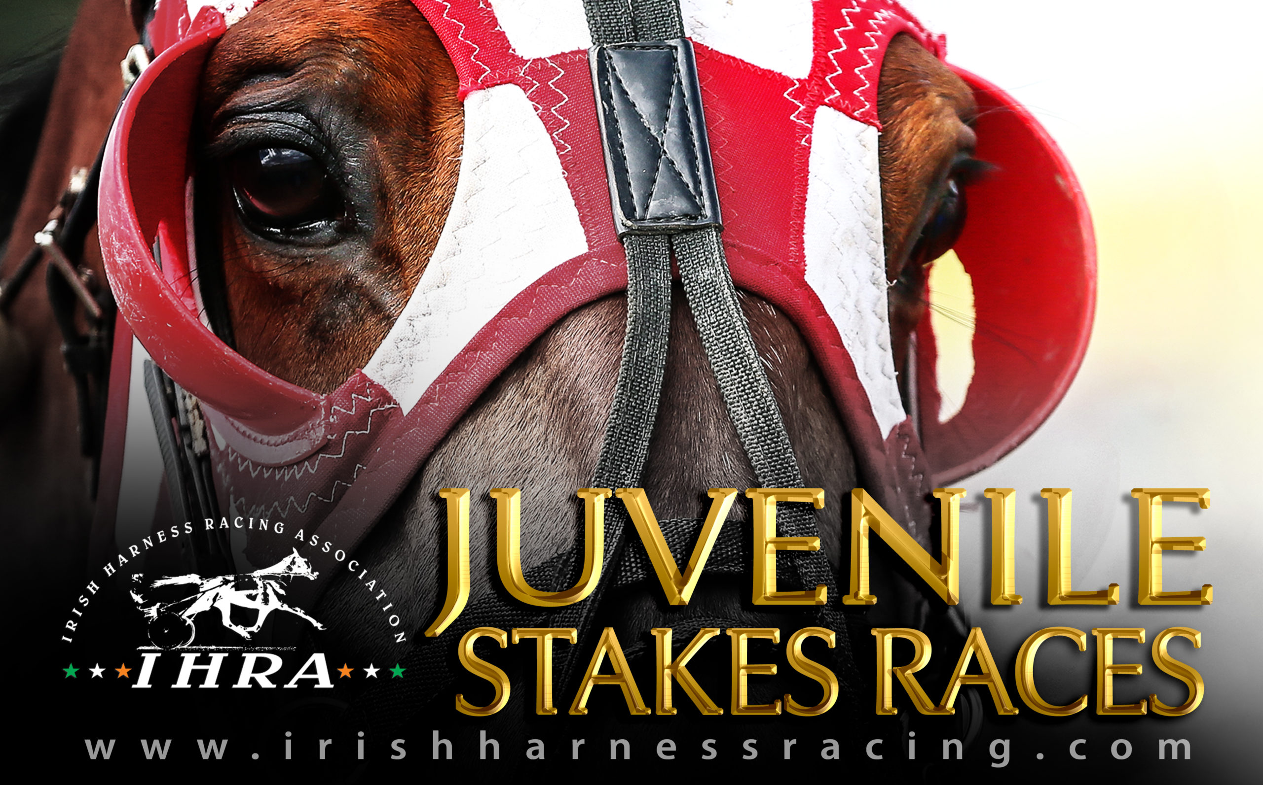 Juvenile Stakes Programme 2020 – The Irish Harness Racing Association